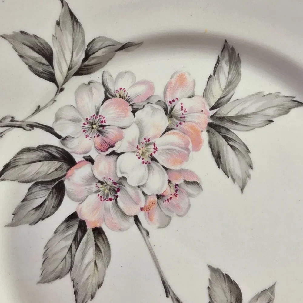 TWO Manor House Spring Glory Salad Plates Pink & White Floral Gray Leaves